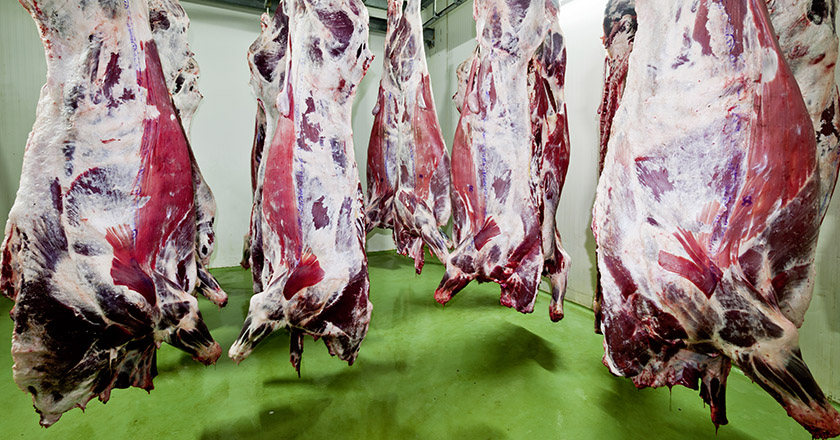Fleischproduktion klimaneutral