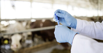 Antibiotika Tierarzt Kuhstall 2020