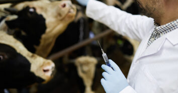 EU Tierarzneimittelverordnung Antibiotika